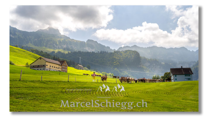 Marcel Schiegg Fotografie, Tradition, Brauchtum, Alpfahrt, Oeberefahre, Appenzell, Appenzellerland, Öberefahre, Alpstein