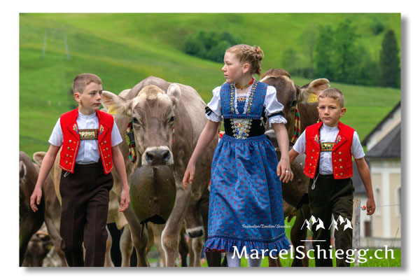 Marcel Schiegg Fotografie, Tradition, Brauchtum, Alpfahrt, Oeberefahre, Appenzell, Appenzellerland, Öberefahre