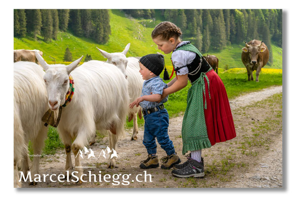 Marcel Schiegg Fotografie, Tradition, Brauchtum, Alpfahrt, Oeberefahre, Appenzell, Alpstein, Sämtis
