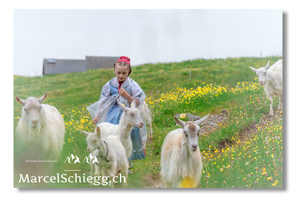 Marcel Schiegg Fotografie, Tradition, Brauchtum, Alpfahrt, Oeberefahre, Appenzell, Appenzellerland, Öberefahre, Alpstein