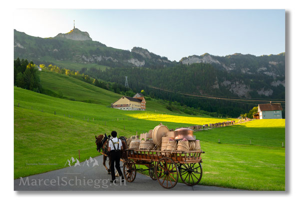 Marcel Schiegg Fotografie, Tradition, Brauchtum, Alpfahrt, Oeberefahre, Appenzell, Appenzellerland, Öberefahre, Lediwagen