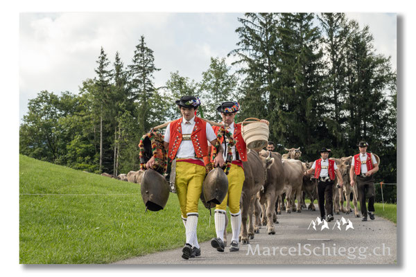 Marcel Schiegg Fotografie, Tradition, Brauchtum, Alpfahrt, Oeberefahre, Appenzell, Appenzellerland, Öberefahre, Alpstein