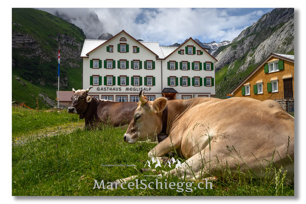 Meglisalp Art.-Nr. MZ7-3381