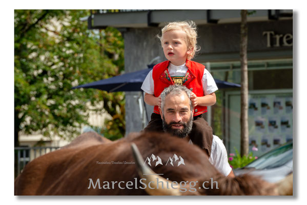 Marcel Schiegg Fotografie, Tradition, Brauchtum, Alpfahrt, Oeberefahre, Appenzell, Hans Gmünder