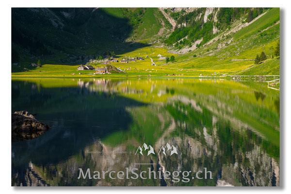 Seealpsee Art.-Nr. MZ7-3209