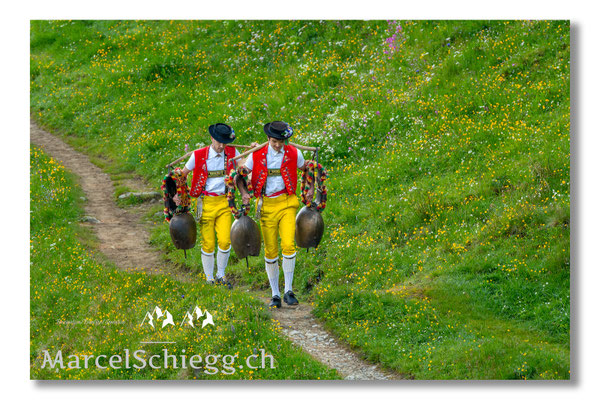 Marcel Schiegg Fotografie, Tradition, Brauchtum, Alpfahrt, Oeberefahre, Appenzell, Appenzellerland, Öberefahre, Alpstein