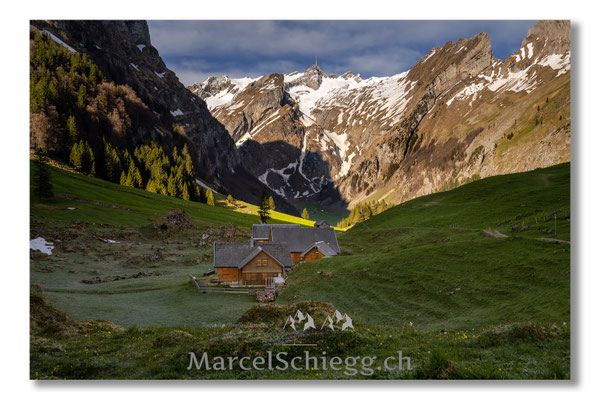 Seealpsee Art.-Nr. MZ7-1806