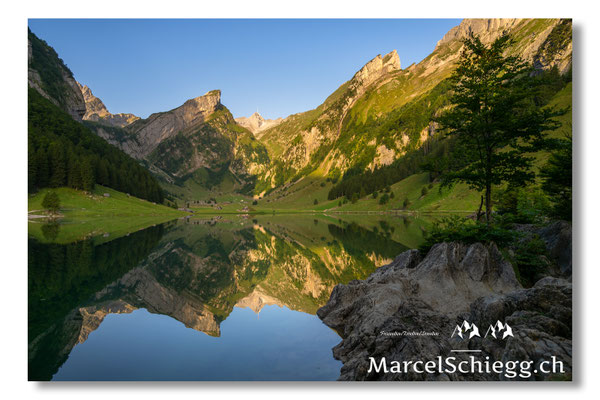 Marcel Schiegg Fotografie, Seealpsee, Spiegelung, Alpstein, Appenzell, Appenzellerland