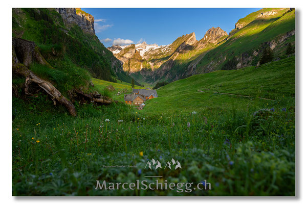 Seealpsee Art.-Nr. MZ7-2368