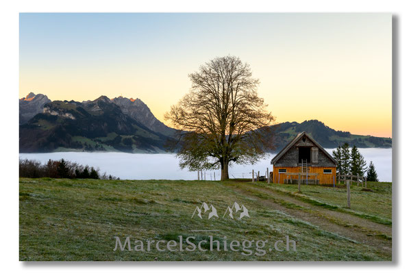 Appenzellerland Art.-Nr. MZ7-3122