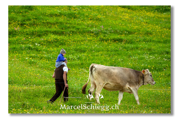 Marcel Schiegg Fotografie, Tradition, Brauchtum, Alpfahrt, Oeberefahre, Appenzell, Appenzellerland, Öberefahre, Alpstein