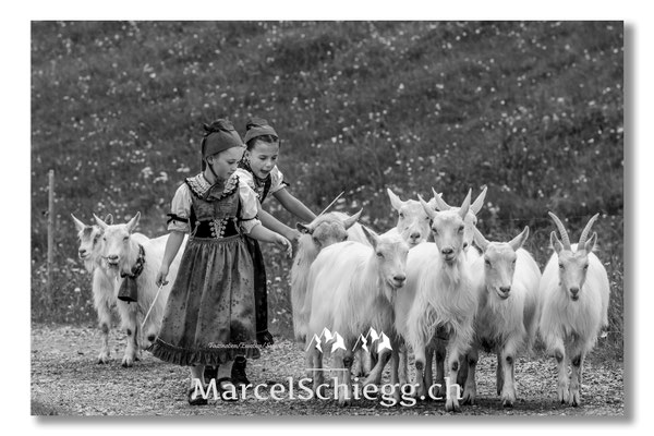 Marcel Schiegg Fotografie, Tradition, Brauchtum, Alpfahrt, Oeberefahre, Appenzell, Appenzellerland, Öberefahre, Alpstein