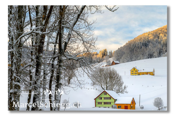 Appenzellerland/Winterimpressionen Art.-Nr. MZ7-3440