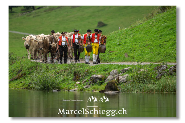 Marcel Schiegg Fotografie, Seealpsee, Alpstein, Tradition, Brauchtum, Alpfahrt, Oeberefahre, Appenzell