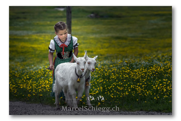 Öberefahre/Alpfahrt Art.-Nr. MS5-0692-Mai