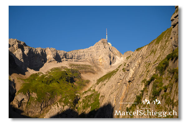 Mesmer/Säntis Art.-Nr. MZ8-6372/25