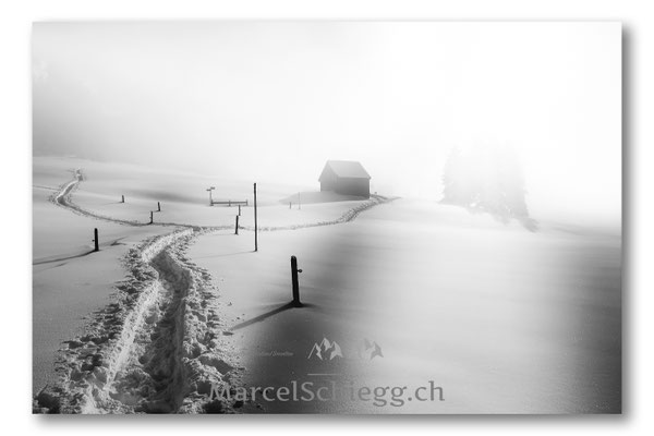 Alpstein/Winterimpressionen Art.-Nr. MS8-5367-Januar