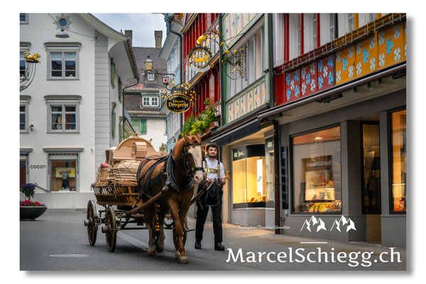 Marcel Schiegg Fotografie, Tradition, Brauchtum, Lediwagen, Alpfahrt, Oeberefahre, Appenzell, Appenzellerland, Hauptgasse, Öberefahre