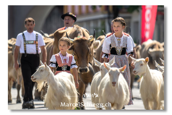 Marcel Schiegg Fotografie, Tradition, Brauchtum, Alpfahrt, Oeberefahre, Appenzell, Appenzellerland, Öberefahre, Alpstein