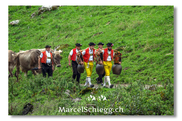 Marcel Schiegg Fotografie, Seealpsee, Alpstein, Tradition, Brauchtum, Alpfahrt, Oeberefahre, Appenzell