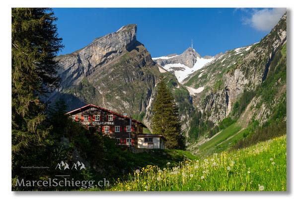 Seealpsee Art.-Nr. MZ7-3200