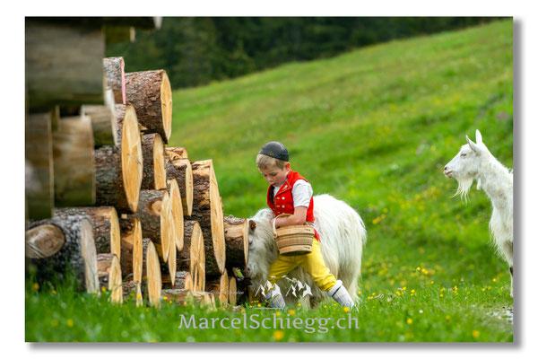 Marcel Schiegg Fotografie, Tradition, Brauchtum, Alpfahrt, Oeberefahre, Appenzell, Appenzellerland, Öberefahre, Alpstein