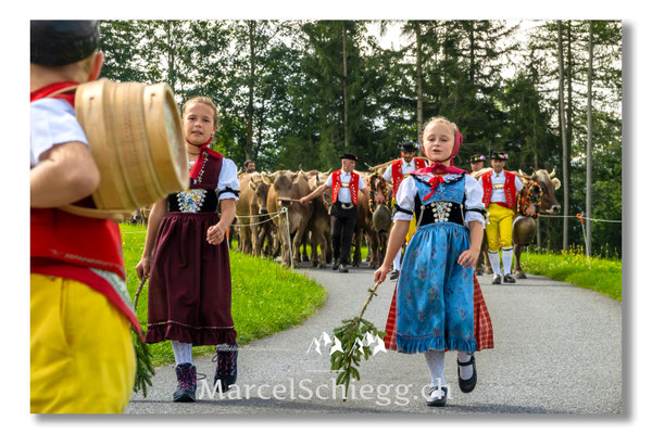 Marcel Schiegg Fotografie, Tradition, Brauchtum, Alpfahrt, Oeberefahre, Appenzell, Appenzellerland, Öberefahre, Alpstein