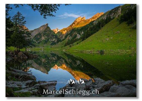 Seealpsee Art.-Nr. MZ7-1464-Pan