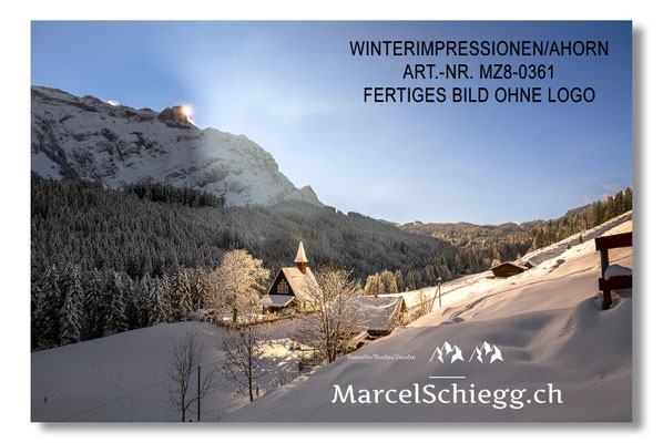 Winterimpressionen/Ahorn Art.-Nr. MZ8-0361/25