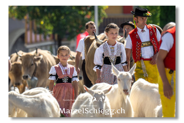 Marcel Schiegg Fotografie, Tradition, Brauchtum, Alpfahrt, Oeberefahre, Appenzell, Appenzellerland, Öberefahre, Alpstein