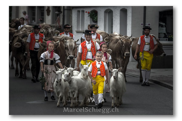 Öberefahre/Alpfahrt Art.-Nr. MS5-5743-September