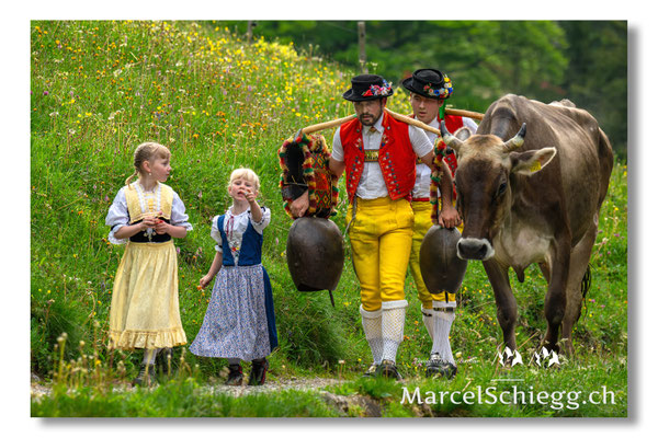 Marcel Schiegg Fotografie, Seealp, Alpstein, Tradition, Brauchtum, Alpfahrt, Oeberefahre, Appenzell, Senntumschellen