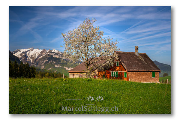 Appenzellerland Art.-Nr. MS5-0291-April