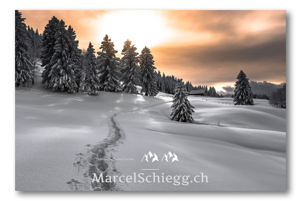 Marcel Schiegg Fotografie, Marcel Schiegg, Alpsteinbilder, Alpsteinpanorama, Appenzell, Appenzellerland