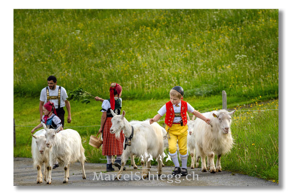 Marcel Schiegg Fotografie, Tradition, Brauchtum, Alpfahrt, Oeberefahre, Appenzell, Appenzellerland, Öberefahre, Alpstein