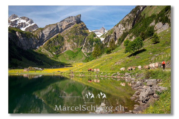 Marcel Schiegg Fotografie, Seealpsee, Alpstein, Tradition, Brauchtum, Alpfahrt, Oeberefahre, Appenzell