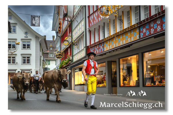Marcel Schiegg Fotografie, Tradition, Brauchtum, Alpfahrt, Oeberefahre, Appenzell, Appenzellerland, Hauptgasse, Öberefahre