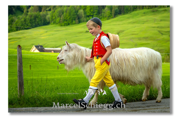 Marcel Schiegg Fotografie, Tradition, Brauchtum, Alpfahrt, Oeberefahre, Appenzell, Appenzellerland, Öberefahre