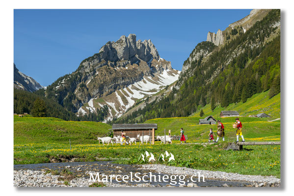 Marcel Schiegg Fotografie, Tradition, Brauchtum, Alpfahrt, Oeberefahre, Appenzell, Appenzellerland, Alpstein, Sämtis