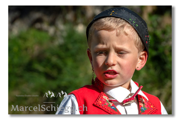 Öberefahre/Alpfahrt Art.-Nr. MS5-1597