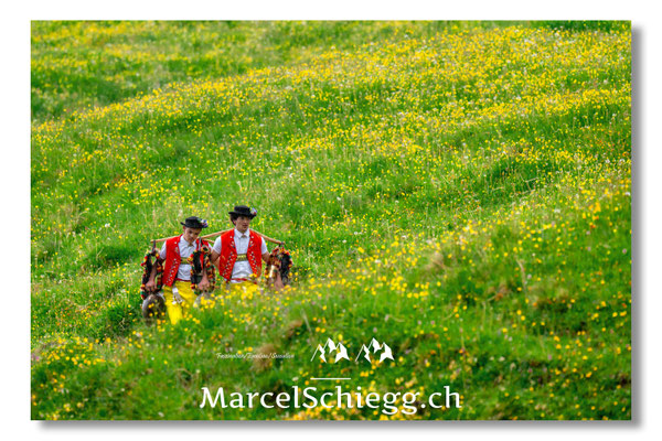 Marcel Schiegg Fotografie, Tradition, Brauchtum, Alpfahrt, Oeberefahre, Appenzell, Appenzellerland, Öberefahre, Alpstein