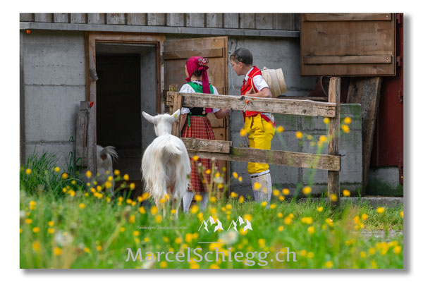 Marcel Schiegg Fotografie, Tradition, Brauchtum, Alpfahrt, Oeberefahre, Appenzell, Appenzellerland, Öberefahre, Alpstein