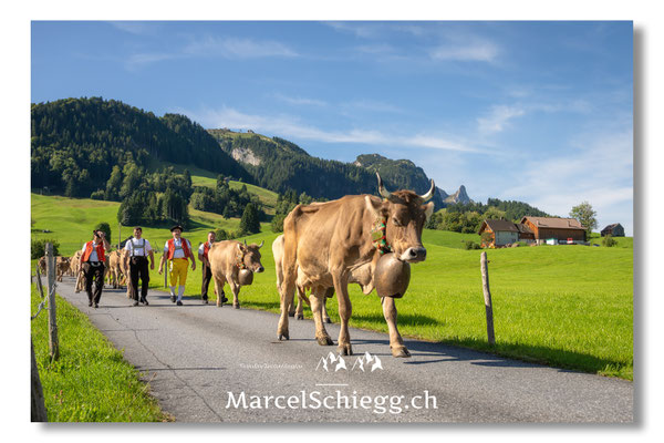 Marcel Schiegg Fotografie, Tradition, Brauchtum, Alpfahrt, Oeberefahre, Appenzell, Appenzellerland, Öberefahre, Alpstein