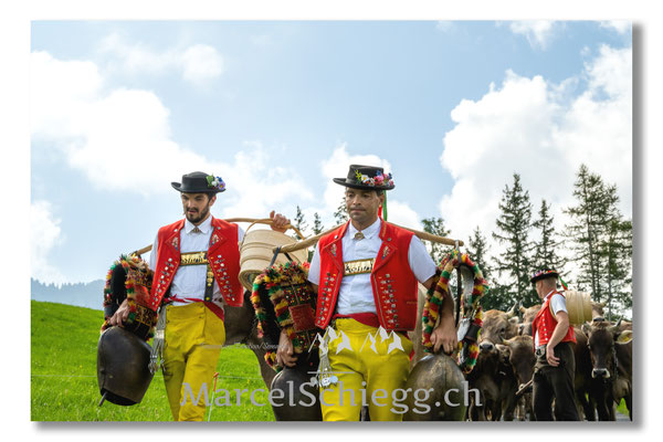 Marcel Schiegg Fotografie, Tradition, Brauchtum, Alpfahrt, Oeberefahre, Appenzell, Appenzellerland, Öberefahre, Alpstein, Senntumschellen