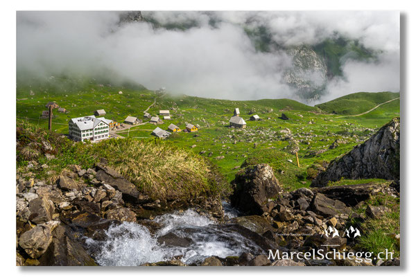 Meglisalp Art.-Nr. MZ7-8336