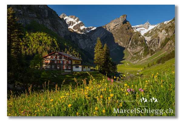 Seealpsee Art.-Nr. MZ7-9711