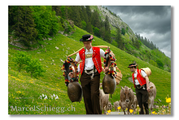 Marcel Schiegg Fotografie, Seealpsee, Tradition, Brauchtum, Alpfahrt, Oeberefahre, Appenzell, Senntumschellen