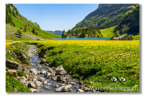 Marcel Schiegg Fotografie, Marcel Schiegg, Seealpsee, Alpstein, Appenzell, Appenzellerland