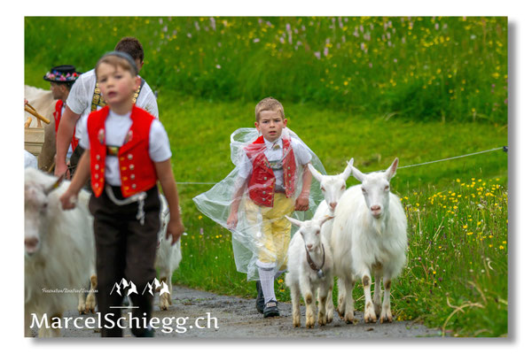 Marcel Schiegg Fotografie, Tradition, Brauchtum, Alpfahrt, Oeberefahre, Appenzell, Appenzellerland, Öberefahre