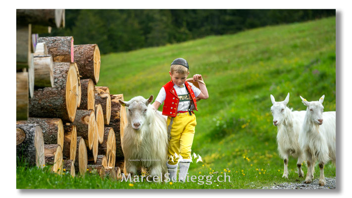 Marcel Schiegg Fotografie, Tradition, Brauchtum, Alpfahrt, Oeberefahre, Appenzell, Appenzellerland, Öberefahre, Alpstein